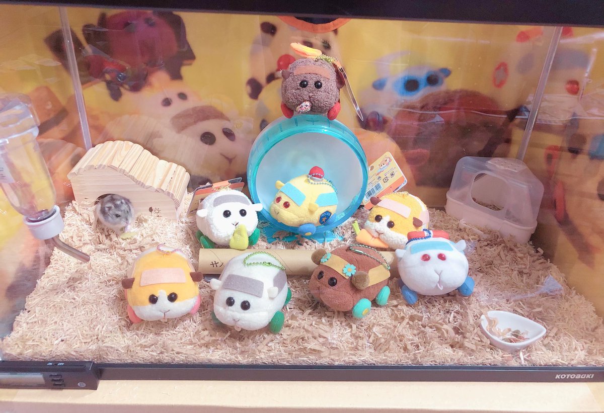 いつき tweet media