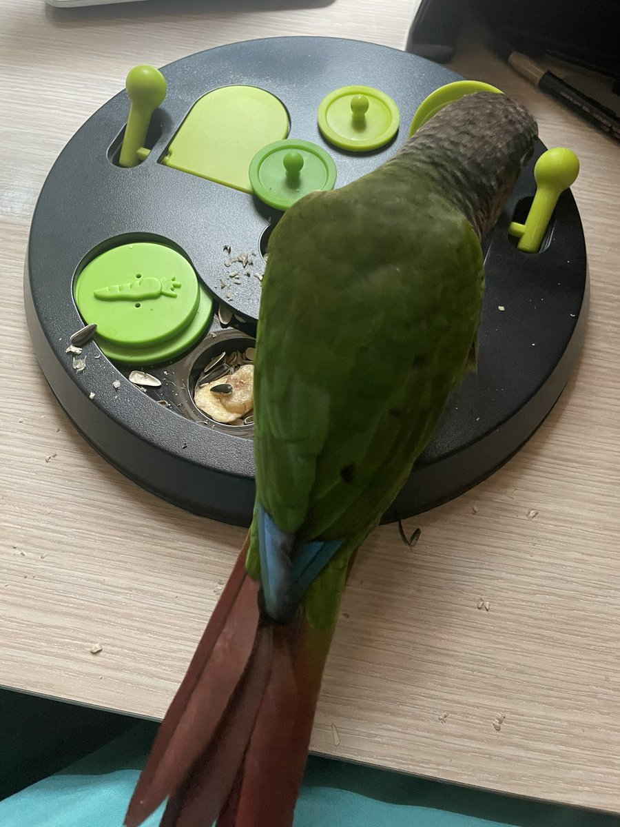 언제 이렇게 뒷모습이 듬직해졌지