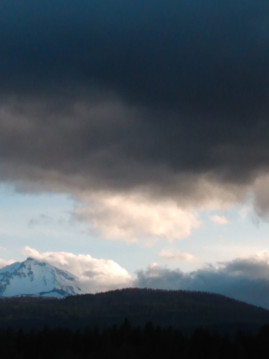 JesusWept_4us's tweet photo. @LisaThomasBooks @Kellyrei007 @DzintraSullivan @AuthorKroese @HutchinsAuthor @hollis_writes @EHollandAuthor @BarrySBrunswick @bayne_wendy @HarbeerAhedi @joanne_paulson @GordonMiyoshi @DavidMiddleham @davepperlmutter Thank you so very much truly for the awesome mentions & list..
#writerslift #authors #writets
#WritingCommunity
Each step measured "always" depends on the obstacles in front of them.
~steady~
#LeagueOfLegends
~Rmh/author~
@JesusWept_4us https://t.co/ED0hby2Jud
