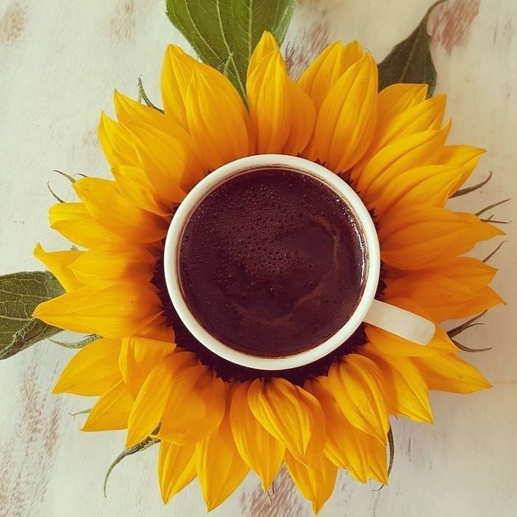 🌻☕🌻 Günaydın 🌻☕🌻