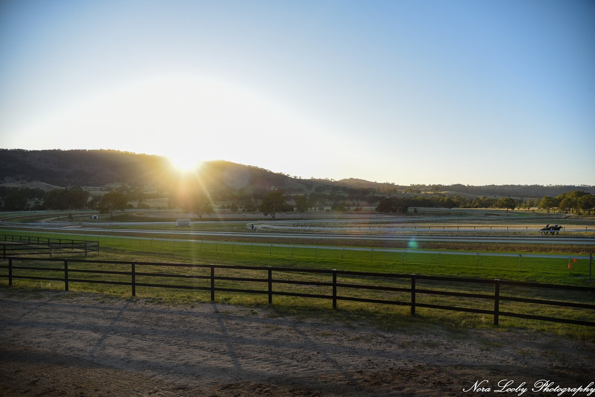 lindsayparkrace's tweet photo. The team at Lindsay Park are looking for a gun HR coordinator. Are you organised, accurate, flexible and 
a positive all-rounder?

More information here 👇
https://t.co/QerdrH0tox https://t.co/8BTAWyLgEJ