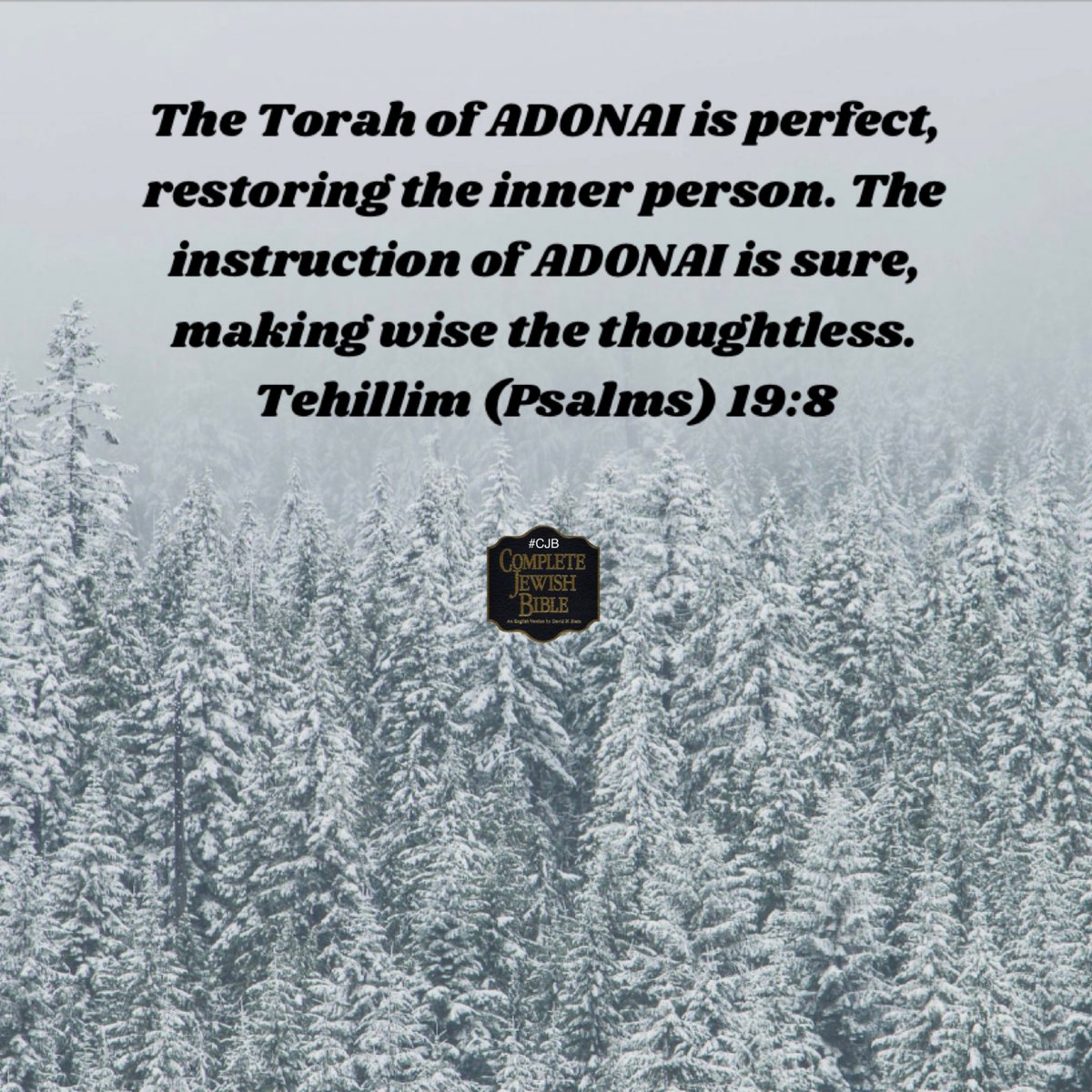 davidsternCJB's tweet photo. The Torah of ADONAI is perfect, restoring the inner person. The instruction of ADONAI is sure, making wise the thoughtless. Tehillim (Psalms) 19:8 #CJB #CompleteJewishBible #VerseOfTheDay https://t.co/bonCAL5N0v