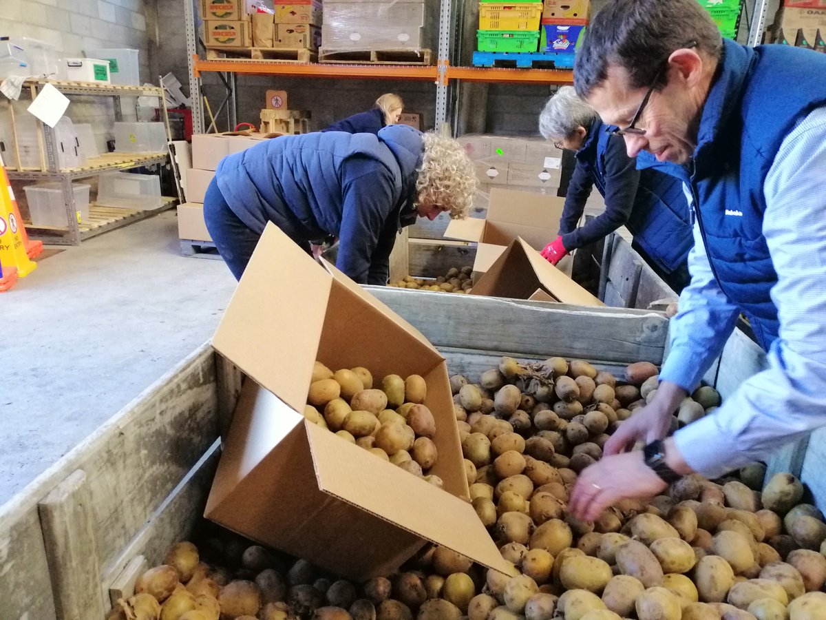 What do you get when you send a team of Rabobank volunteers to KiwiHarvest’s Dunedin depot? One hundred packed boxes of rescued, hail-damaged kiwifruit that would have otherwise ended up wasted. Great to see the team from Otago putting in the hours!