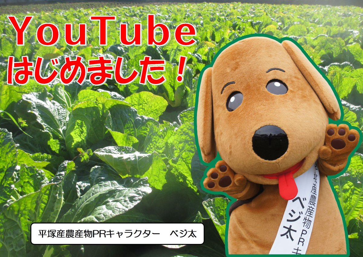 平塚市産業振興部 S Tweet Youtube 平塚市公式農業チャンネル はじめました 動画で 平塚市 の 農業 を紹介します 平塚の農業を知って 地元で採れた食材を身近に感じてもらえたら嬉しいです お子様の 食育 にもご活用ください ベジ太 のダンスも