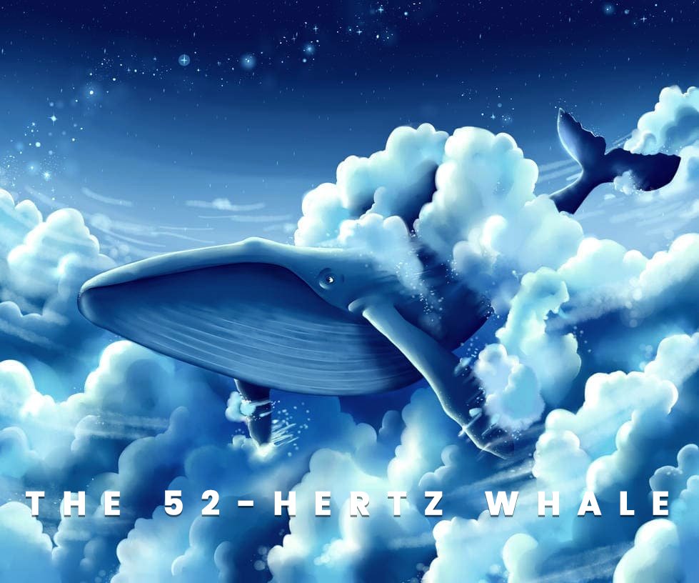 The 52hertz Whale Protocol on Twitter "🐳THE WORLD’S LONELIEST WHALE🐳