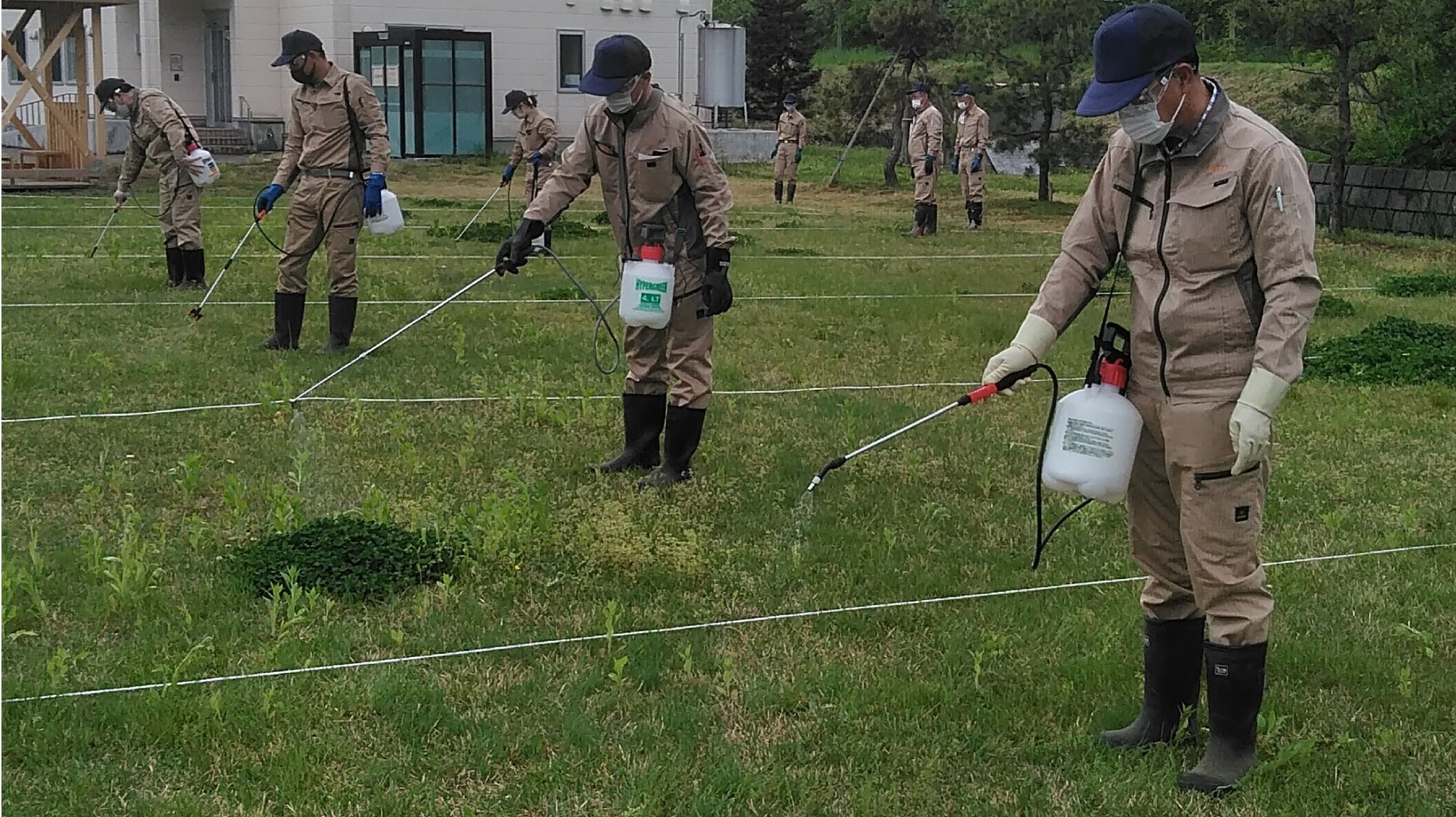 تويتر 弘前高等技術専門校 على تويتر 造園科 芝生への除草剤散布を行いました 芝生専用の除草剤なので 芝生以外の雑草 スギナ クローバー等 を枯らすことができ 草取りの手間を省くことができます 弘前高等技術専門校 弘技専 造園 造園科