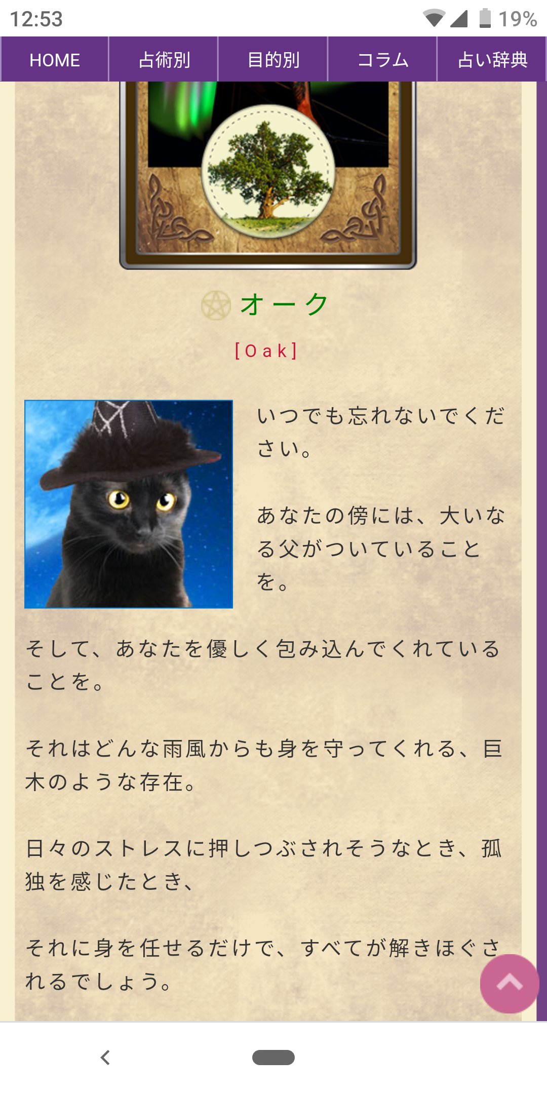 のぐちきほ I M Looking For Only Rose リーナ エリーン 魔人なりきり 絵本のビブリオマンシー あなたの今のラッキーカラーは 運命を変える占い心理学研究サイト 占いアミュー T Co Hmbaqjxprk ビブリオマンシー 占い Gt オレンジ