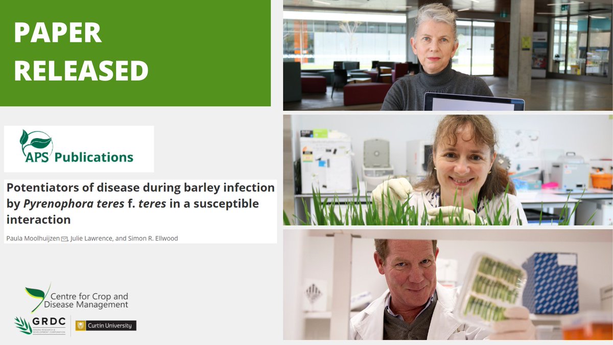 theCCDM's tweet photo. Find out more about our latest #NetFormNetBlotch (NFNB) paper in the @plantdisease APS journal - Focusing on genome wide gene expression in both the barley host and fungal pathogens in relation to NFNB https://t.co/pW4Ybitx05! @theGRDC https://t.co/9EqUfD8T3g