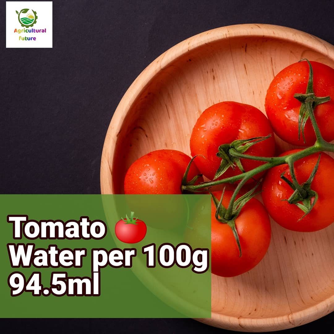 Rjpraveenpraja1's tweet photo. https://t.co/FAcvanA94F
#fruits #tomatoes #HealthTips #HealthMantras #bodytobody #COVID19 #maskpahno #भगवान_का_विधान #isupportkhansir #Dogecoin #iHeartAwards2021 #gntm #GreysAnatomy #savarkarjayanti #ArrestRandeephooda #CriticalRoleSpoilers #nutrition #healthyfaith https://t.co/6V3n8umPRL