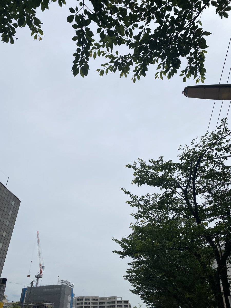 ディーシージェイ株式会社 Dcj こんにちは 今日は一気に暖かくなりましたね 写真だと ですが 過ごしやすいお天気 早くて5月ももうすぐ終わり 6月は祝日がないので のび太くんが1番嫌いな月だそうです 笑 金曜日 がんばっていきましょう ディーシージェイ株式会社 Dcj こんにちは 今日は一気に暖かくなりましたね 写真だと ですが 過ごしやすいお天気 早くて5月ももうすぐ終わり 6月は祝日がないので のび太くんが1番嫌いな月だそうです 笑 金曜日 がんばっていきましょう
