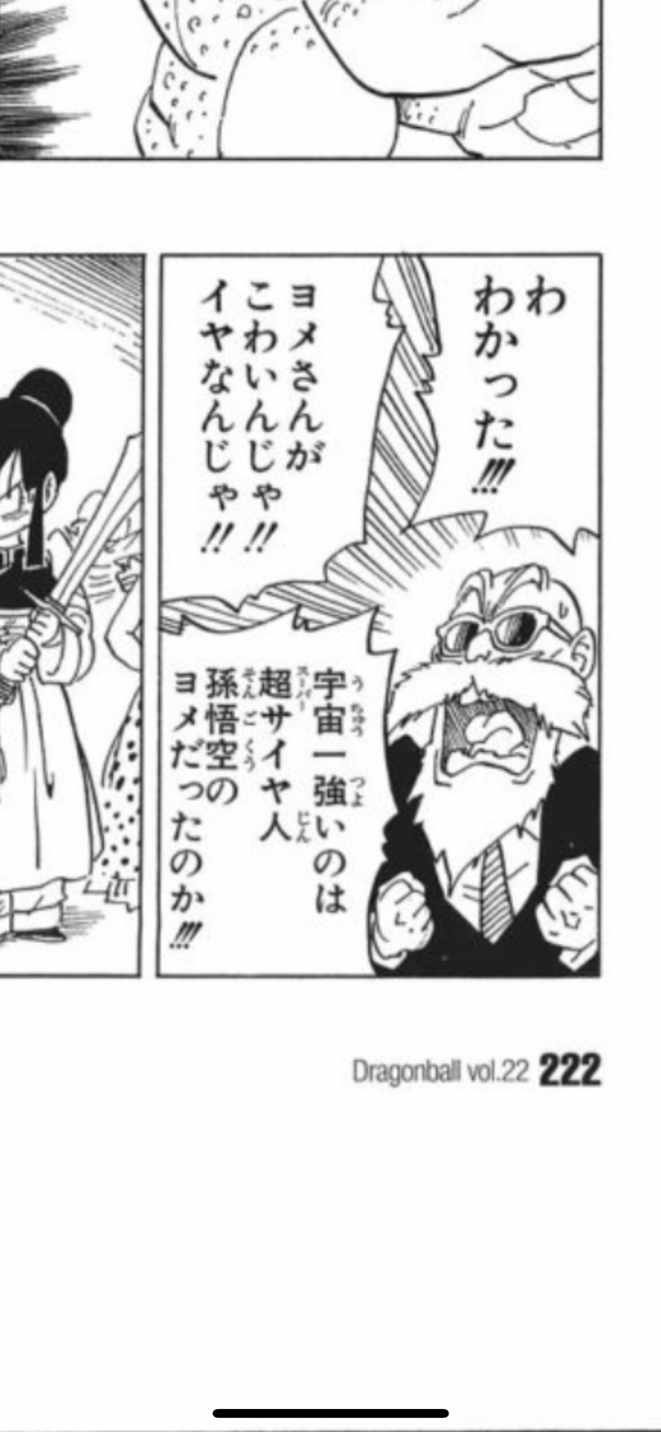ドラゴンボール セクシー系カード チチ＆亀仙人 海外製