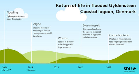 #jobalert #PhD position <a href="/SyddanskUni/">Syddansk Universitet</a> open for ecological and biogeochemical conditions expressed by changes in #flora and #fauna in the <a href="/GyldensteenSDU/">Gyldensteen Coastal Lagoon, Denmark</a>. #seagrass #ECOSYSTEMRESTORATION deadline 2/8: sdu.dk/da/service/led…