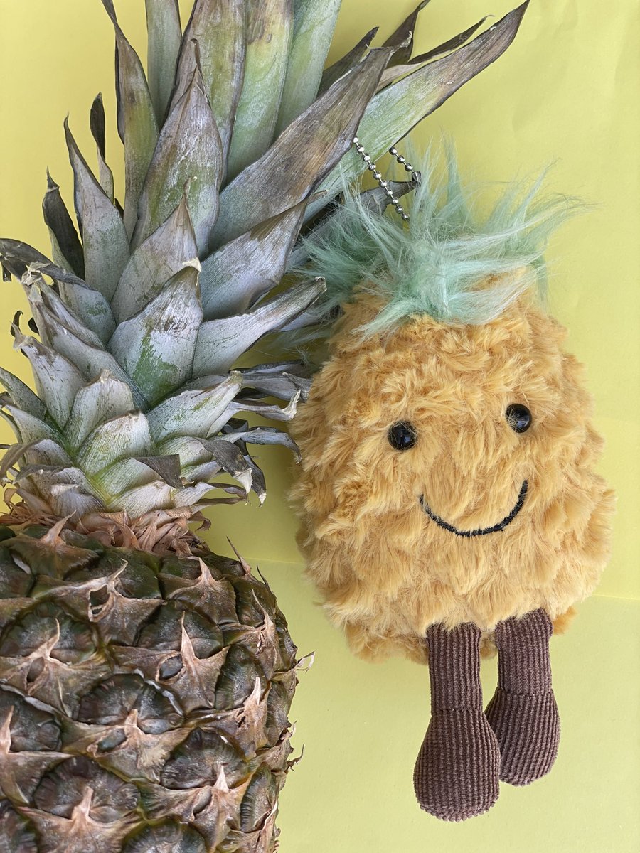 FluffPuffME's tweet photo. I’m always lazy on Friday’s so I just hang onto my dad to move me around .. PINE AND CHILL #belikeme #pineapplelife #plushies #fluffpuff #softtoys https://t.co/EUZmu8fv4P