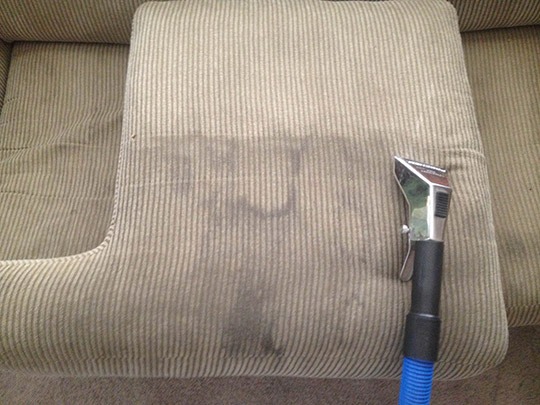 couchcleaningsy's tweet photo. @couchcleaningsy offers the best and effective couch cleaning services on the same day. Couch Cleaning #EasternSuburbs owns a team of highly professional and experienced #upholstery cleaners, and we use eco-friendly techniques for #cleaningservices. 
🌐https://t.co/vfLnraH6zt https://t.co/YkYCNbUuaW