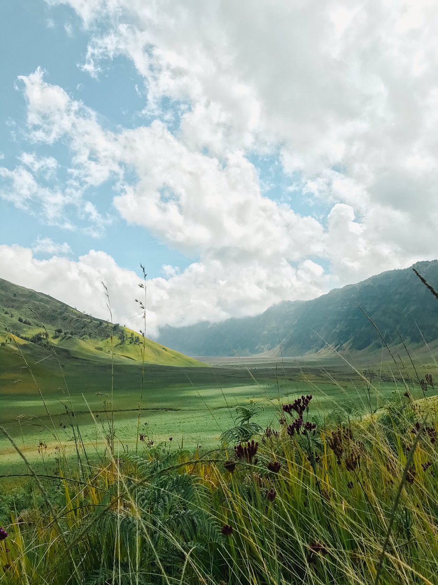 fadlimuu's tweet photo. Tahun kemarin memang nggak pernah kemana2, udah lagi jenuh dan pusing akirnya November 2020 nyempetin ke Bromo. Nggak nyesel sih, pas itu kondisi bener2 lagi hijau banget. #iphone #bromo https://t.co/hshZTAYeu1