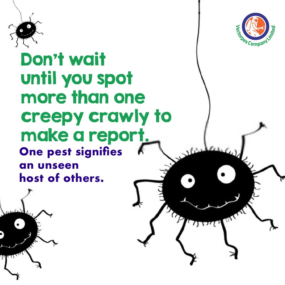 vectorpesgh's tweet image. When a bug finds comfort in your space, it invites others to join the good life😂
The shot is yours.

#Vectorpes 
#SafeAgain 
#safeandeffective