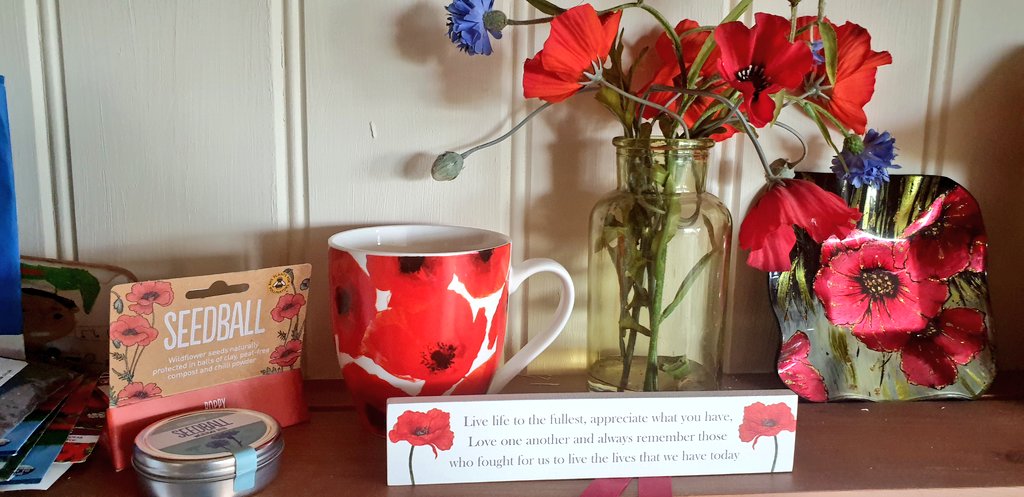 CAfvbc's tweet photo. We are going with a Poppy themed #VirtualTeaBreak with the @davidwhiteshow crew this morning
More a festival of Remembrance as at tomorrow's meet we are sowing poppies! @seed_ball
So to balance the "gig feel"
We are flagging things up as well!
#Festival #Flags https://t.co/1wMspADN1J