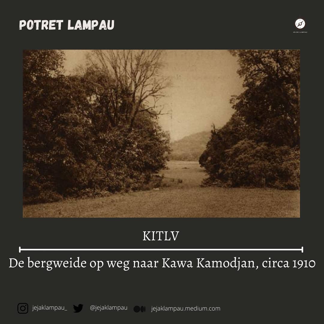 jejaklampau's tweet photo. [POTRET LAMPAU]
.
De bergweide op weg naar Kawa Kamodjan, circa 1910
_________________________
Padang rumput pegunungan dalam perjalanan ke Kawa Kamodjan, tahun 1910
.

#potretjadul #potretlampau #kamodjanfillage #kamojang #kamojangvillage #kamojanggarut #garutexplore #garut https://t.co/hFHNdybGsv