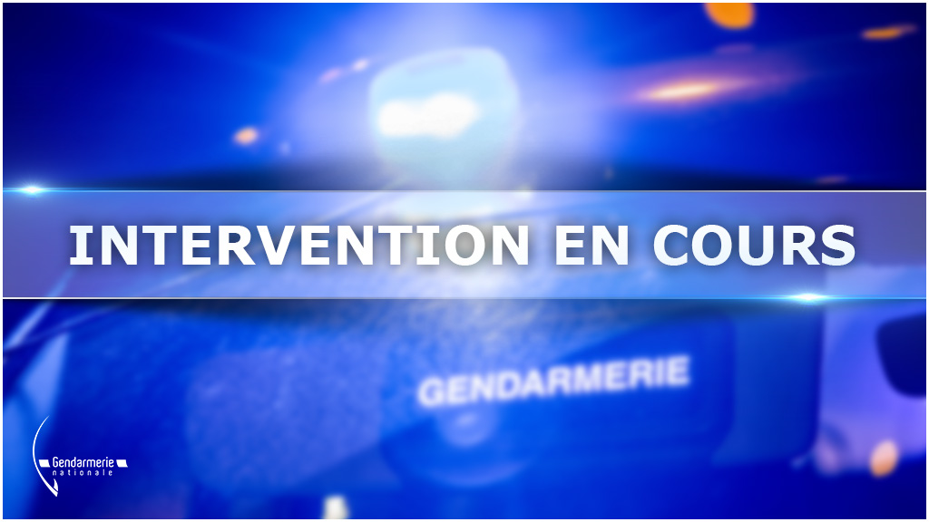 Gendarmerie's tweet photo. #Nantes 🚨 Commune et secteur #LaChapelleSurErdre (44)
➡️ Intervention des forces de l'ordre en cours
⚠️ Évitez le secteur et respectez strictement les consignes des #gendarmes
🚧 RD 39 fermée https://t.co/IhMP8PnQUw