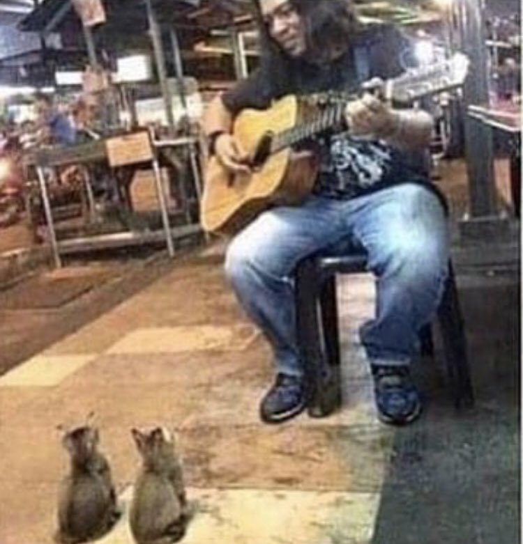 yapayaracIar's tweet photo. sokak sanatçısını kimse dinlemezken şu dinlemeye gelenlere bakın 🥺 https://t.co/JvaGQzsQoY