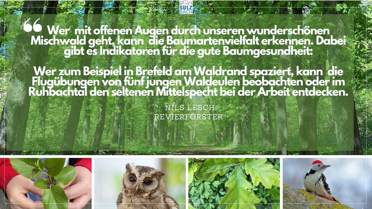 Dehemm isses am Schönsten!