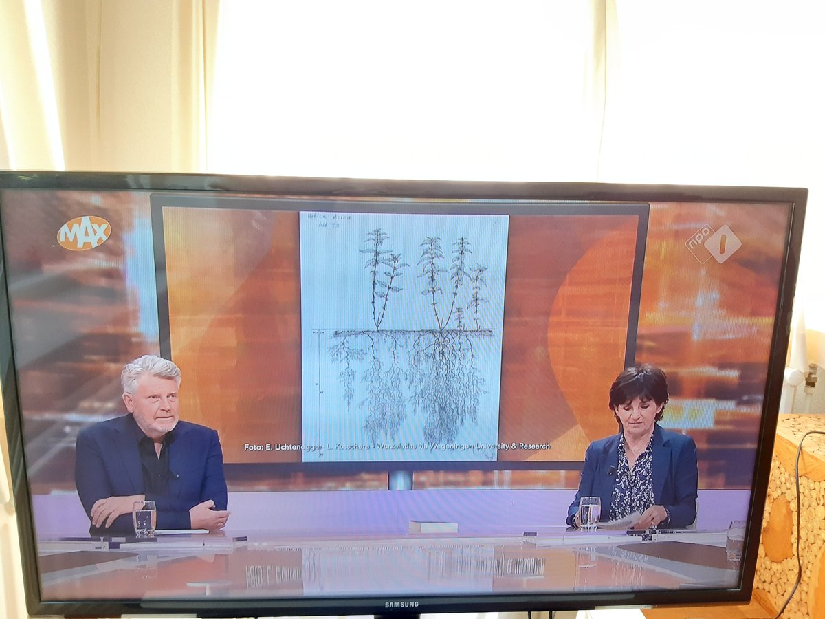 wurlibrary's tweet photo. Root system drawings are the new TV stars! Thanks to  @andredonker and @tijdvoormax. You can find these stunning, detailed  drawings in the @WUR Image Collections  https://t.co/BXfjJnTrzG #Wurzelatlas #lorekutschera #rootsystems #tijdvoorMAX @WURplant @WURenvironment https://t.co/txW9Lb7SOy