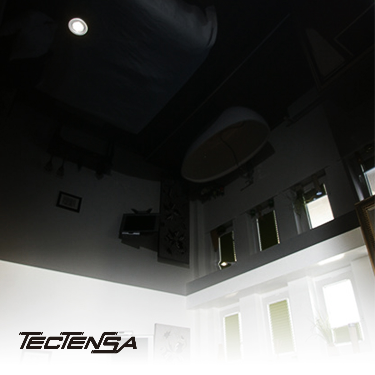 tectensa tweet picture