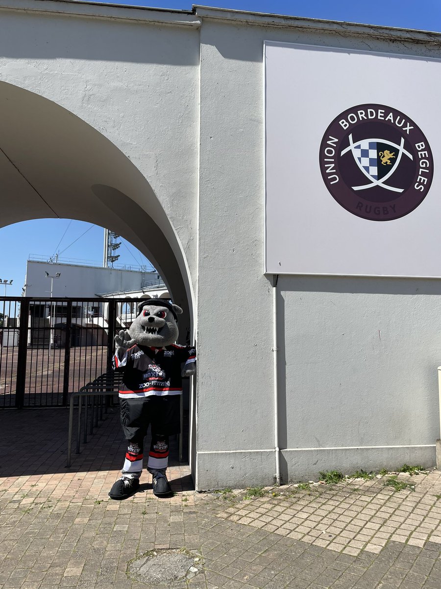 BoxersBordeaux's tweet photo. Si la #FêtedesVoisins, initialement prévue aujourd’hui, a été reportée au 24 Septembre prochain, Boxy est tout de même allé saluer nos voisins de l’@UBBrugby au Stade Chaban Delmas, même si, Covid oblige, les grilles sont restées fermées à son plus grand regret 😔 https://t.co/UzS3ndGRbu