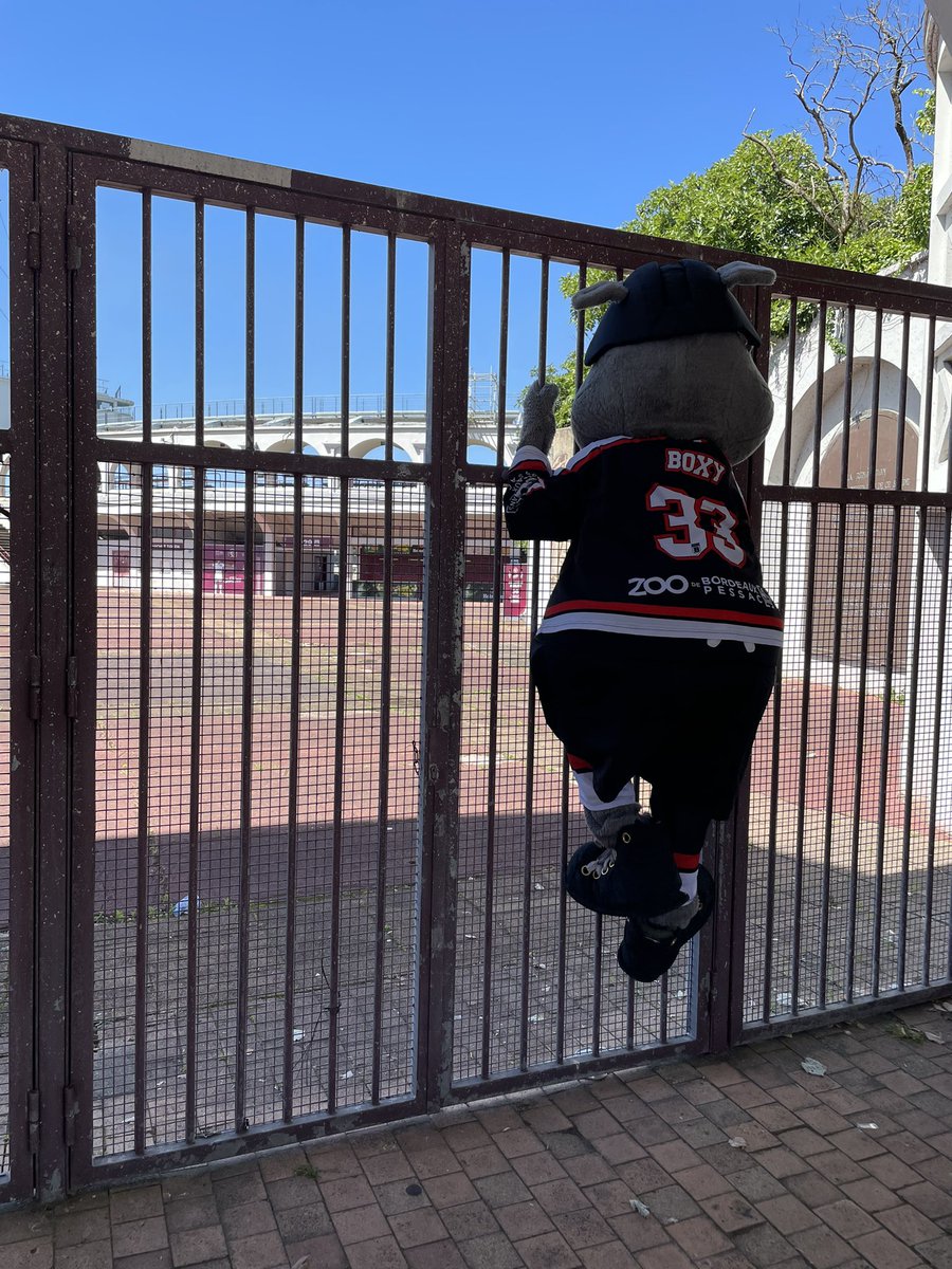 BoxersBordeaux's tweet photo. Si la #FêtedesVoisins, initialement prévue aujourd’hui, a été reportée au 24 Septembre prochain, Boxy est tout de même allé saluer nos voisins de l’@UBBrugby au Stade Chaban Delmas, même si, Covid oblige, les grilles sont restées fermées à son plus grand regret 😔 https://t.co/UzS3ndGRbu