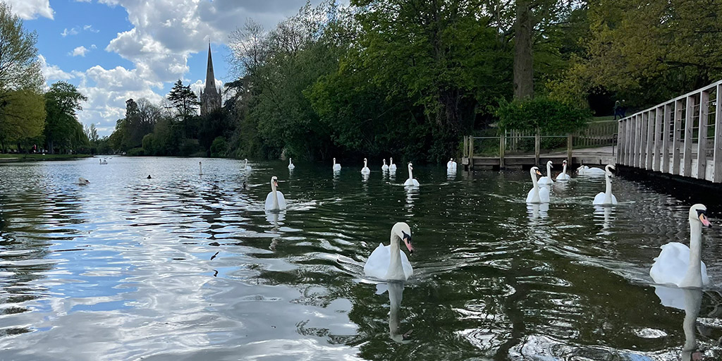ArdenHotel's tweet image. Enjoy a spectacular staycation this spring in the heart of Stratford-upon-Avon at The Arden Hotel, you deserve a break! 🌷🙌

Discover more and book now: 
bit.ly/3bXO4ez

#ukbreak #springstaycation #springbreaks
@SLHLuxuryHotels @ShakespearesEng