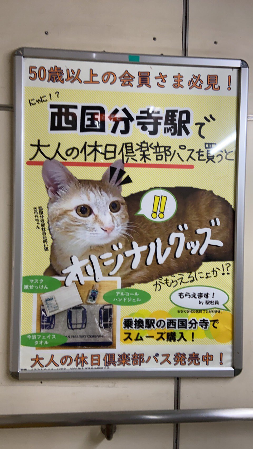 Uzivatel 山田 磨依 Mai Yamada Na Twitteru 西国分寺駅 社員さんの飼い猫ちゃん可愛い どの情報よりも猫ちゃんの写真が1番目立ってるところがまた可愛い 猫 T Co C5b9or1r8i Twitter