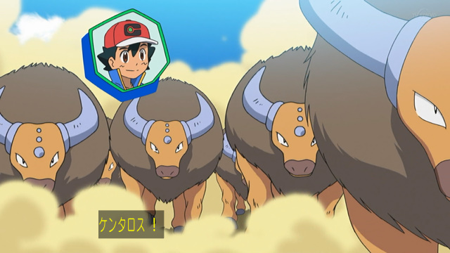 アニメ ポケットモンスターで ケンタロス が話題に トレンドアットtv アニメ ポケットモンスターで ケンタロス が話題に トレンドアットtv