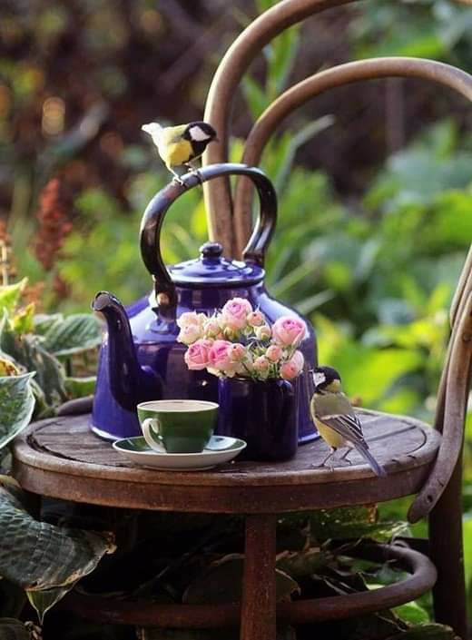 LdOptimistes's tweet photo. Bienvenue à notre #menuduchef 👨‍🍳
Un déjeuner aux senteurs du bonheur 😉,rempli de la gourmandise nécessaire à notre moral 😋😁et de d☀️uceurs pour notre ❤🌷🌿

Bon appétit à tous !🤗🍷
Douce après-midi 🙏💕
#ligue_des_optimistes https://t.co/zx3MV5GbdA