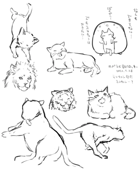 全然うまく描けない～～～けど2番目のネコチャンはすき
動物修業続けたいですね
#ぺ子と朝クロッキー 