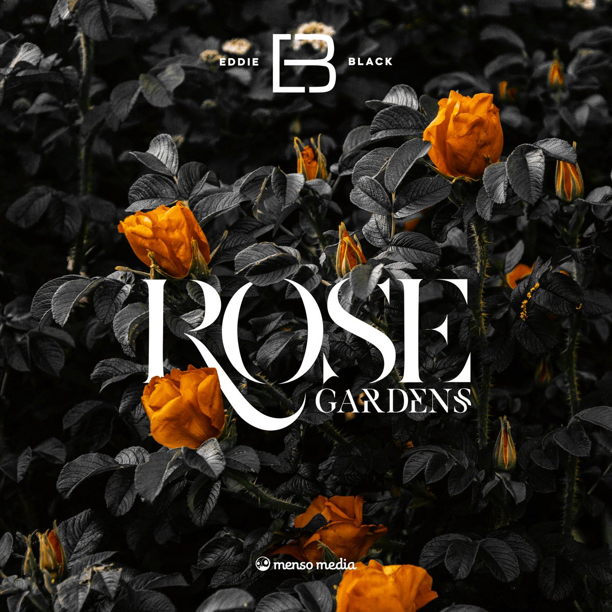 Eddieblackbaby's tweet photo. OUT 5th JUNE 
Produced by Green Hood Productions
At @Jeromix_Media 

EDDIE BLACK - ROSE GARDENS https://t.co/KvFTzacYv4