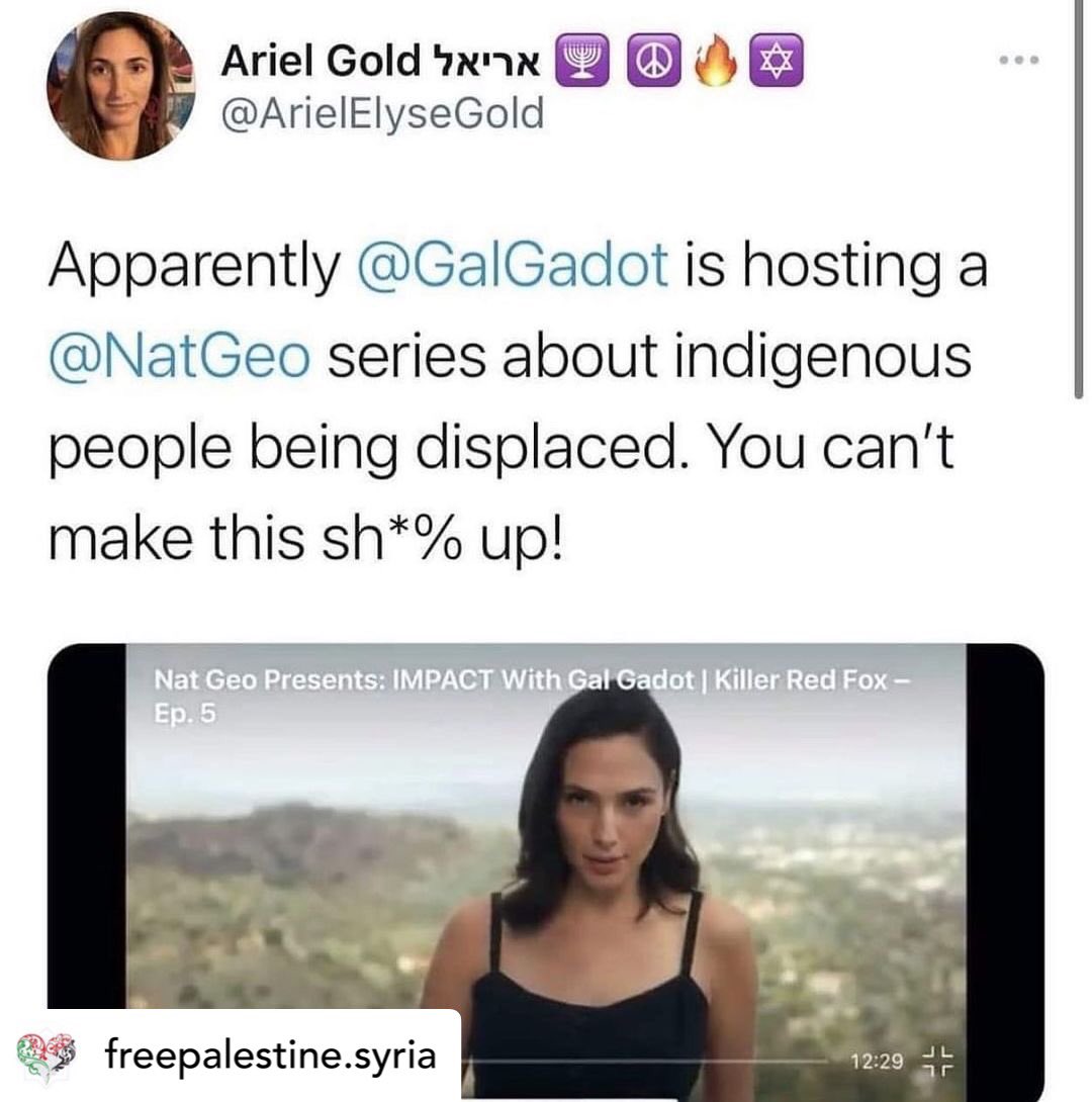 Joke of the century <a href="/GalGadot/">Gal Gadot</a>