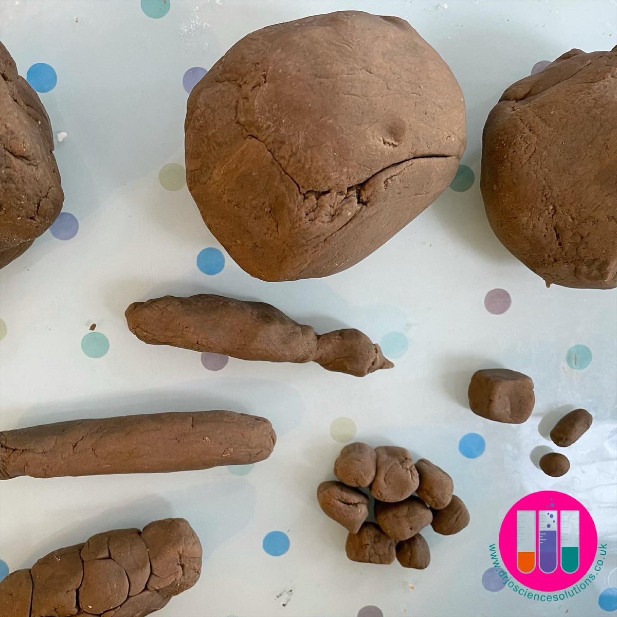 DrJoScience's tweet photo. A fun morning being #PooDetectives!
#PlaydoughScience #PrimaryScience #PriSci #Poo #Herbivore #Carnivore #Omnivore #VirtualWorkshops #RemoteLearning https://t.co/CioIYoYaXx