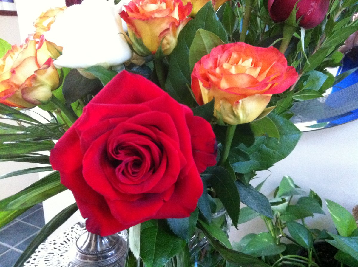 Happy Friday! May your weekend be fantastic!  #FlowersOnFriday #FridayFlowerDelivery #Smile #Friday #FridayFlowers