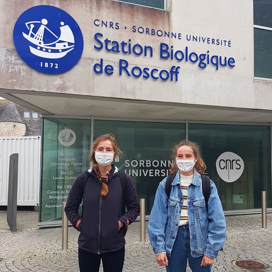 L'équipe de Iodysséus rend visite à la <a href="/SBRoscoff/">Station Biologique de Roscoff</a>  ! 
Cette rencontre avec les scientifiques a permis d'échanger sur les protocoles de laboratoire qui vont être mis en place pour la collecte de plancton depuis notre voilier. 🔬🌊
#science #plancton #roscoff #laboratoire #ocean