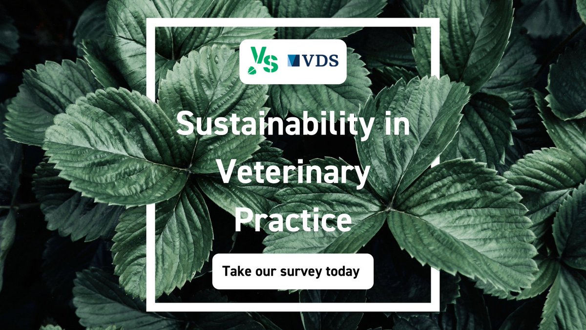 The VDS tweet media