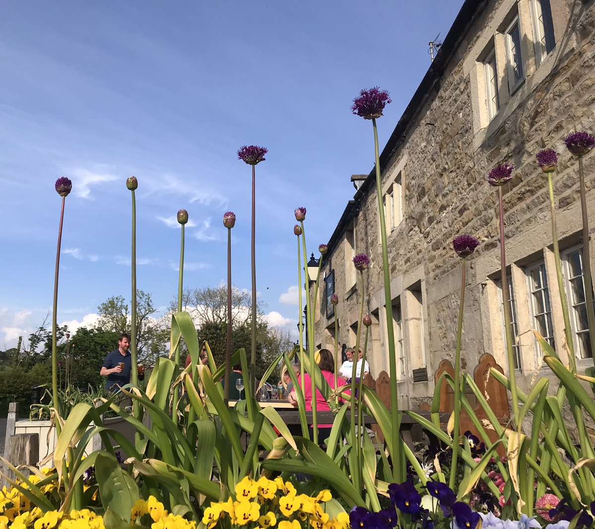 belviderefondo's tweet photo. Supper last night in the sunshine - great to be back @thefleece_inn https://t.co/J4SHgX9FZN