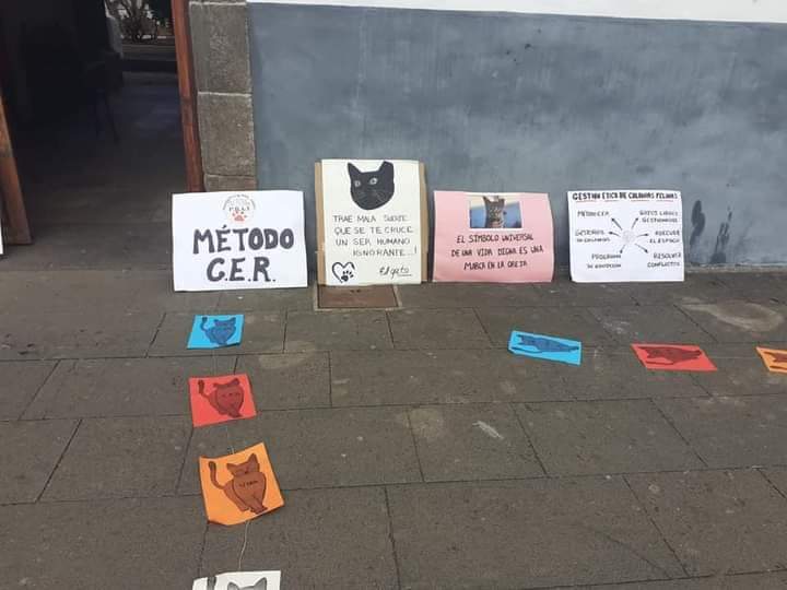 PBAT / Plataforma Bienestar Animal Tacoronte tweet media