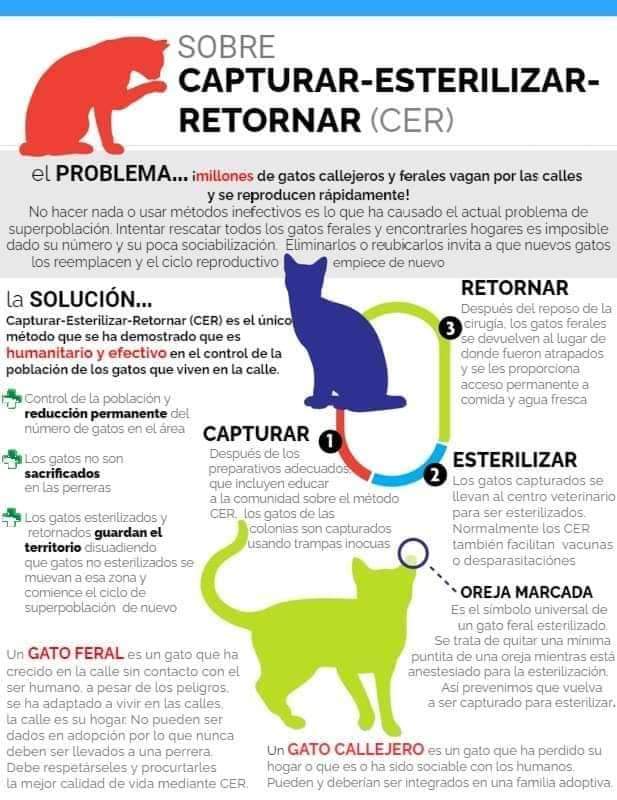 PBAT / Plataforma Bienestar Animal Tacoronte tweet media