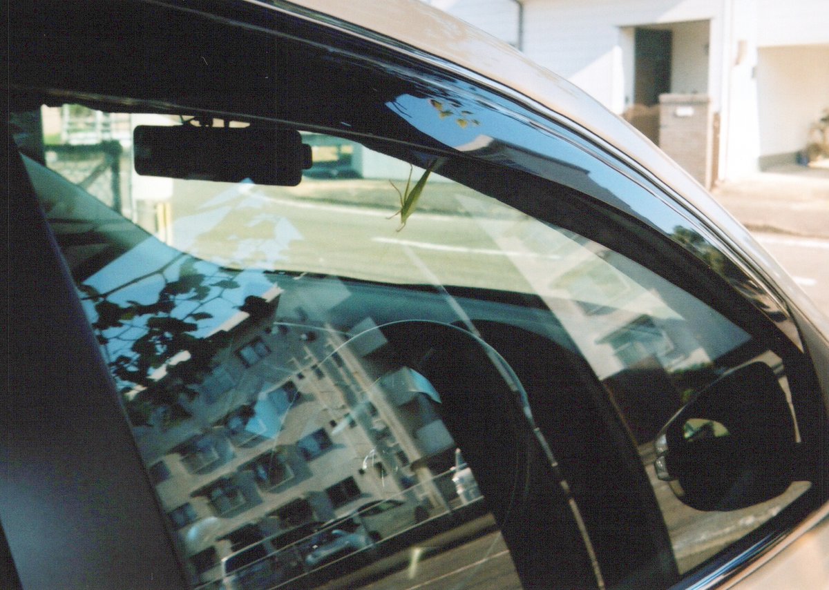 KsgWdNPpVFUT09a's tweet photo. バッタ
#minolta #ミノルタ #himaticf #minoltahimaticf #ハイマチックf #filmcamera #フィルムカメラ #フィルム写真 #kodakgold200 https://t.co/QHou4V4svP