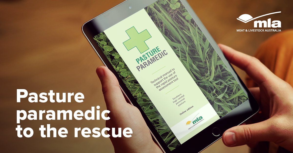 Is pasture dieback caused by disease, nutrition or an insect? Learn more about the key suspects in the pasture dieback mystery 👉 bit.ly/3i18W86 #ausag #agchatoz