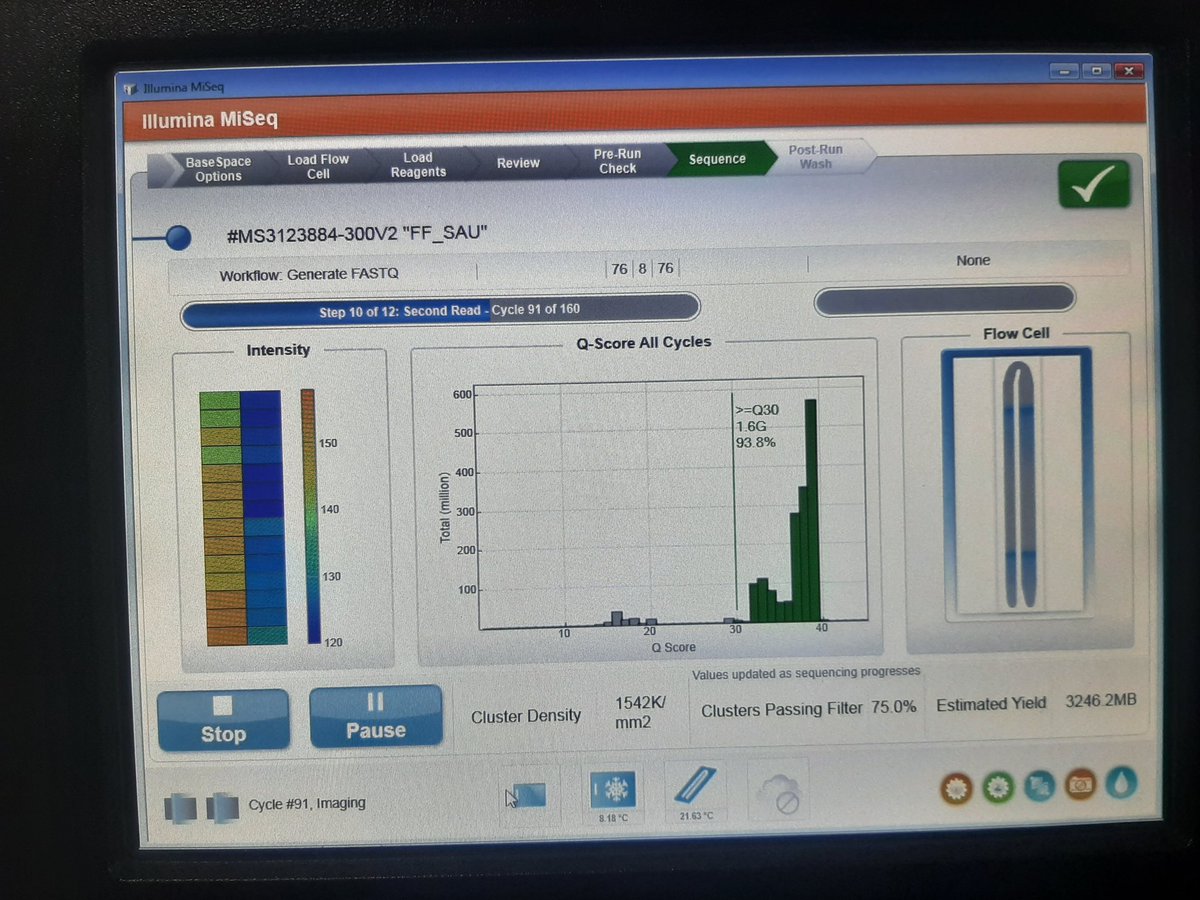 Anderson Oaikhena tweet media