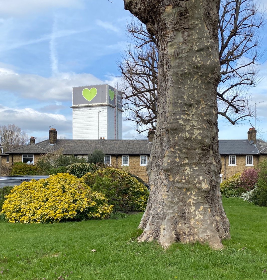 TiCLme's tweet photo. Join @Trees4Grenfell_ putting ribbons on trees @GrenfellTowerMC
π³ππ΄ππ² #ribbonoftrees @GardensHope #treeheart
https://t.co/1eDyz3MUo8
π³ π²
π π π
π΄ π³
π π
π² https://t.co/GxgMn401Pg