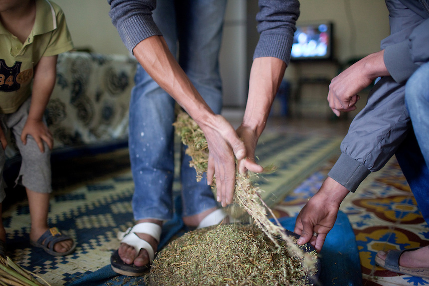 наркотики из марокко