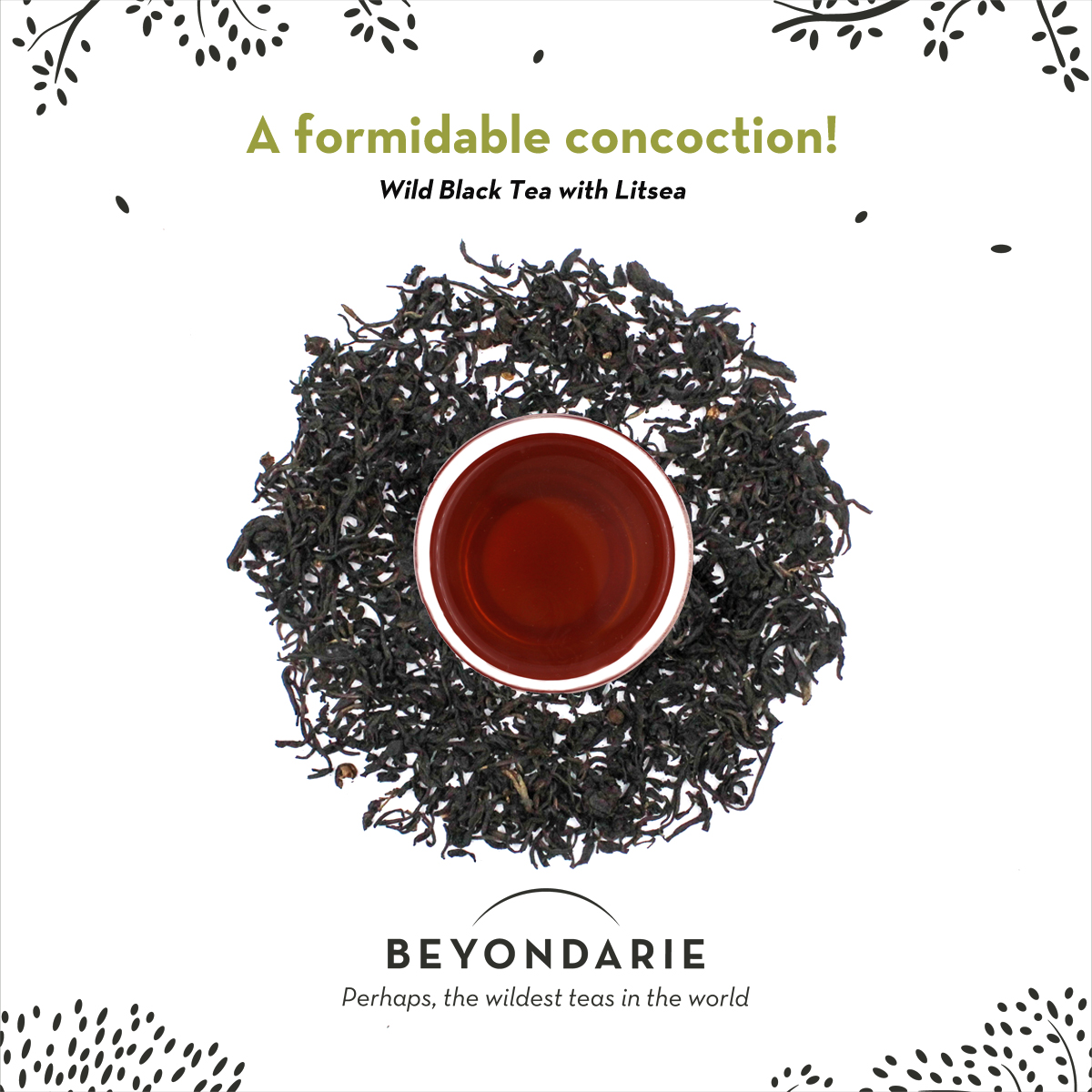 beyondarie's tweet photo. A formidable concoction!
The #citrusy aroma & flavour of the Wild #Litsea complements the woody notes of the foraged Wild #Blacktea. The #antiviral, #antiinflammatory properties of the ingredients make this a must-have brew! Give it a try on https://t.co/c5GdpL61Aq #wildtea https://t.co/TWoTThDzPu