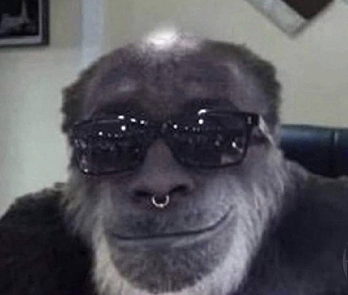 E2dFn_xXMAARPAj?format=jpg&name=medium